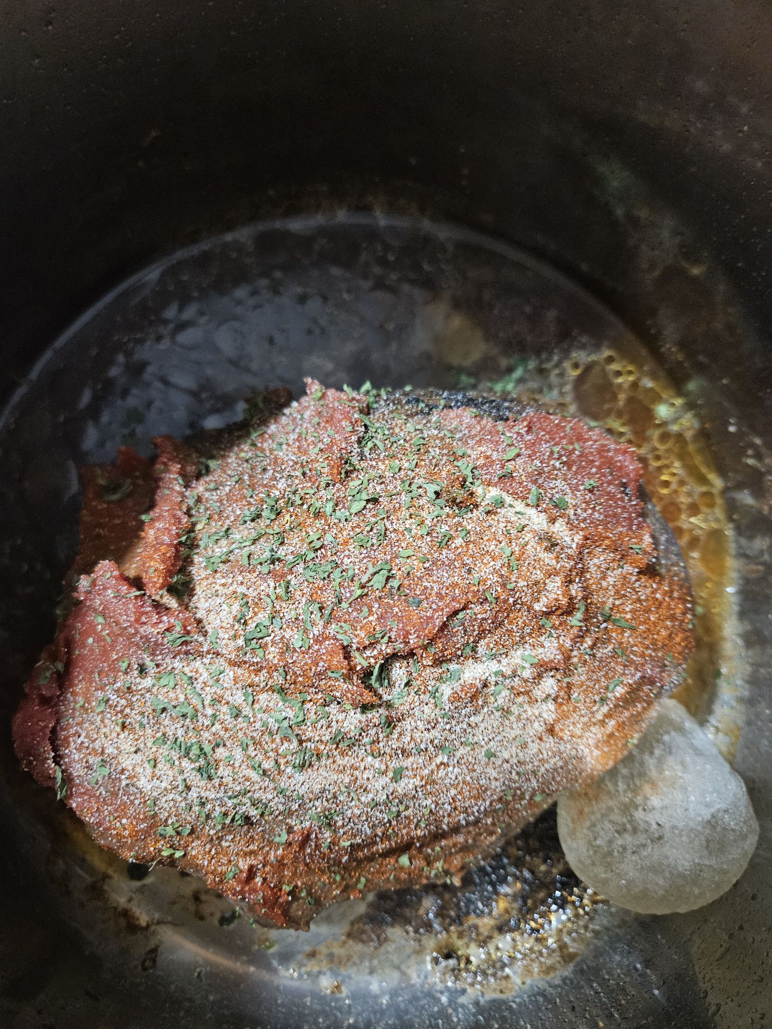 venison wild game instant pot