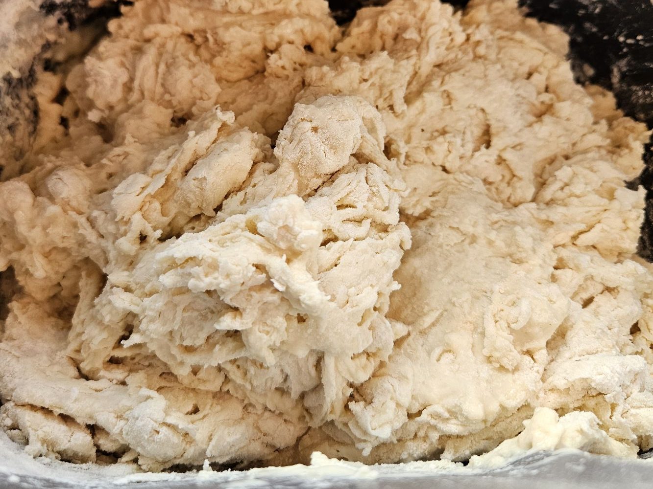 sourdough bread machine