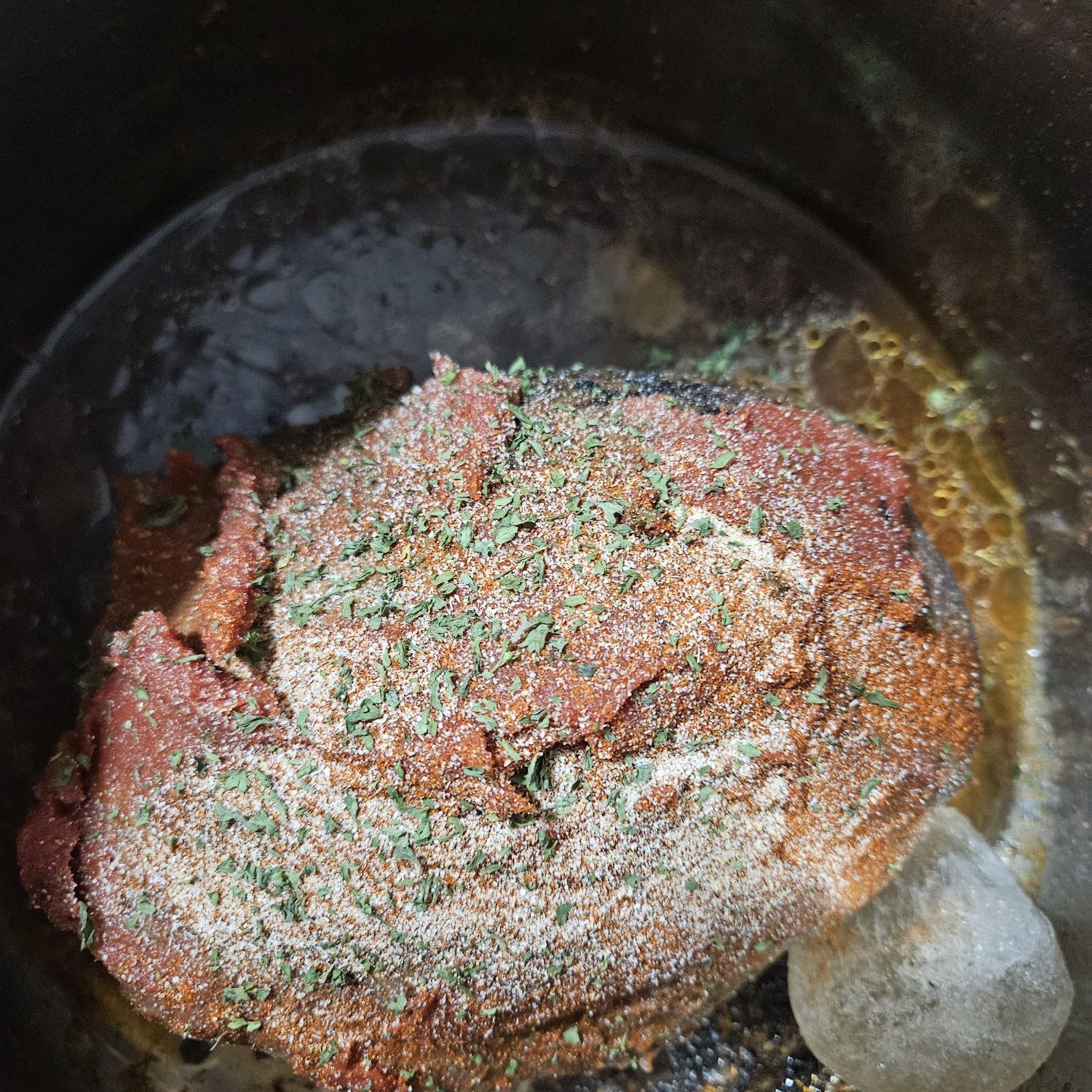 venison wild game instant pot