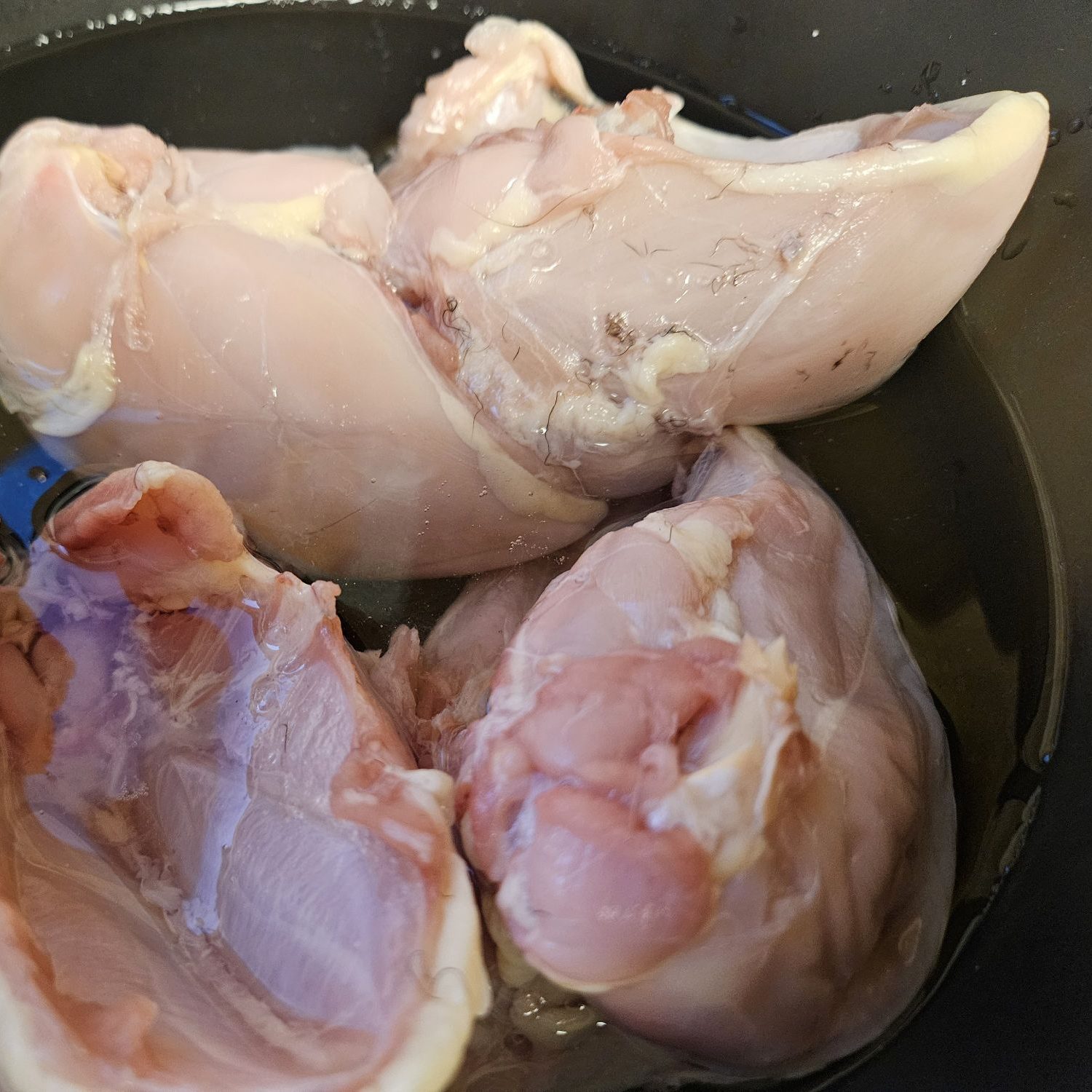 partridge in a bowl