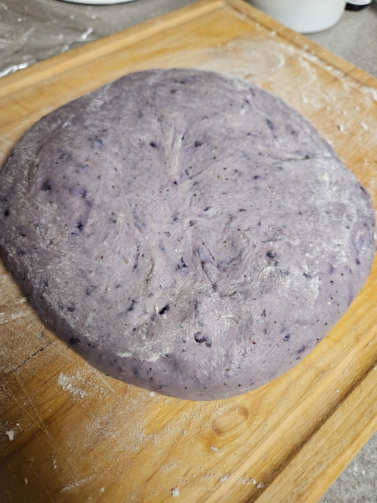 Blueberry sourdough bagel dough ready to divide