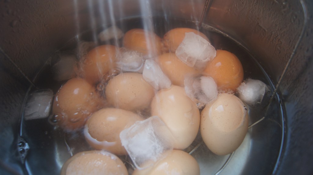 Steamed eggs in ice bath